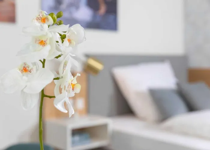 公寓 Nino-boardinghouse 16